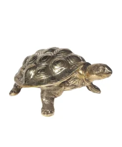 Doing Goods Cameron Schildpad Groot - 1.20.50.009.921.5