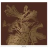 KEK Amsterdam Engraved Flowers Goud Behang MW-026 - 300x280cm