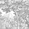 KEK Amsterdam Engraved Landschappen Behang Grijs WP-780 300x280cm